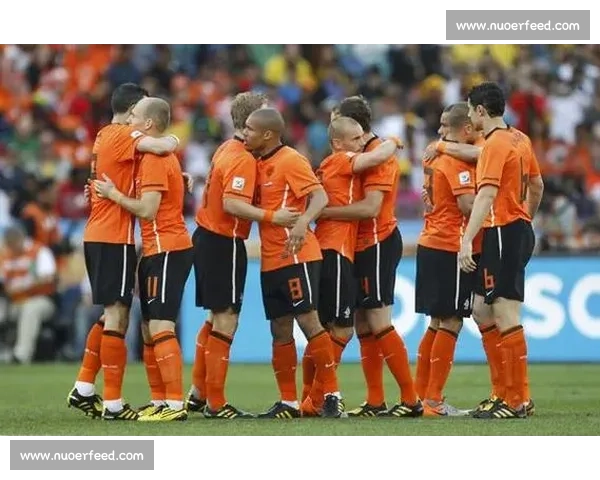 保加利亚对阵荷兰欧洲赛场实力碰撞与战术博弈前瞻全面解析双方胜负关键走势