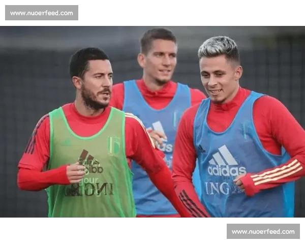 比利时对阵埃及焦点之战实力碰撞与战术博弈前瞻看点解析全面展望 比利时对阵埃及焦点之战实力碰撞与战术博弈前瞻看点解析全面展望