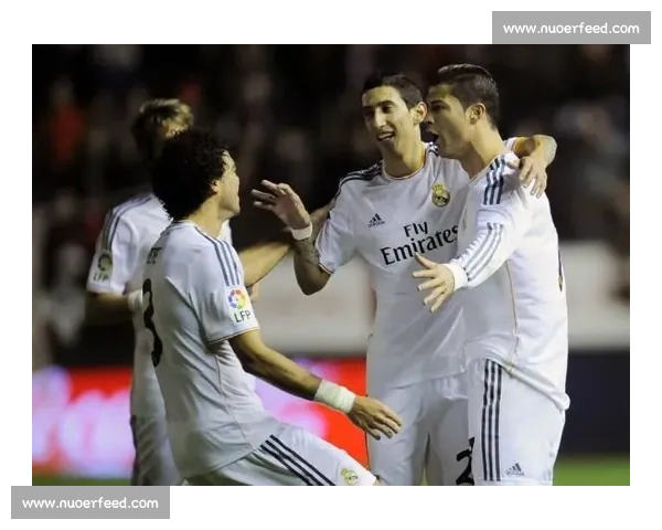 科恩对决流浪者焦点之战谁能掌控赛场命运胜负悬念引爆球迷期待 科恩对决流浪者焦点之战谁能掌控赛场命运胜负悬念引爆球迷期待